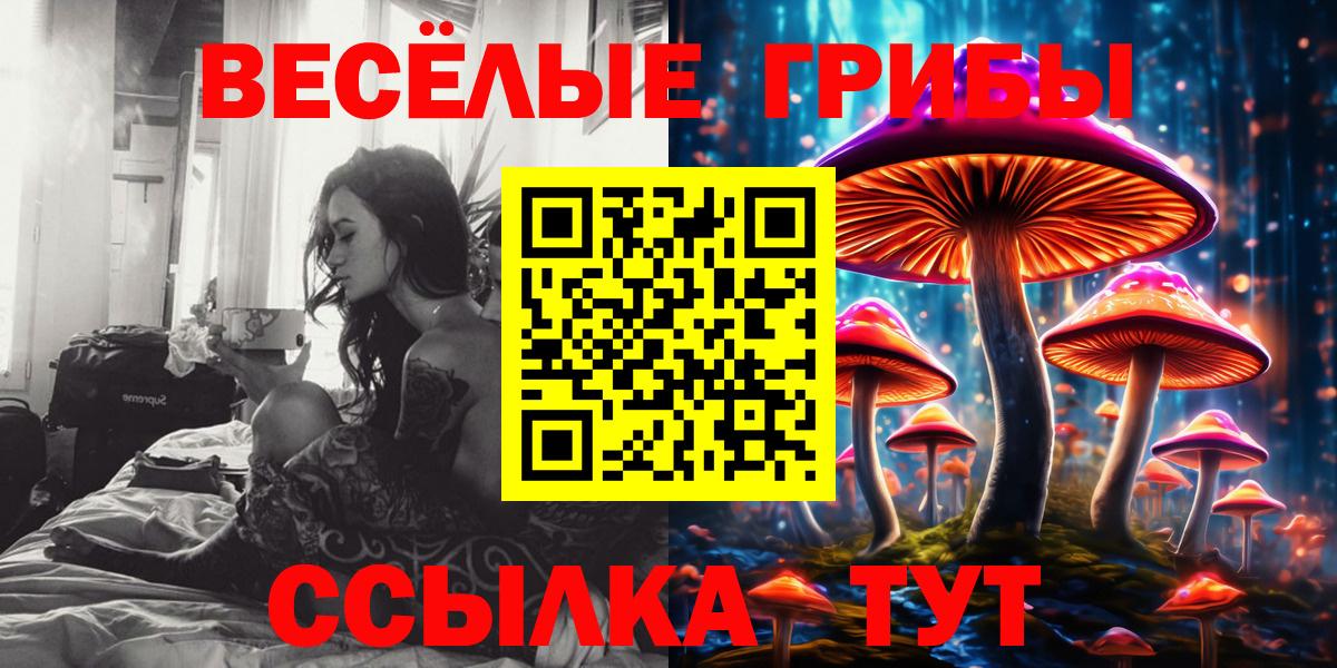 Псилоцибиновые грибы GOLDEN TEACHER Пенза