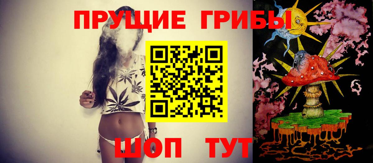 Галлюциногенные грибы GOLDEN TEACHER  Вход с VPN  Пенза 